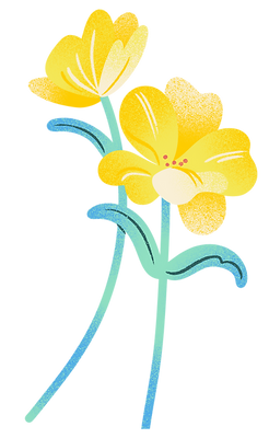 3 Yellow Flowers.png